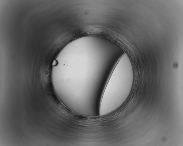 X0000103160604200808221154