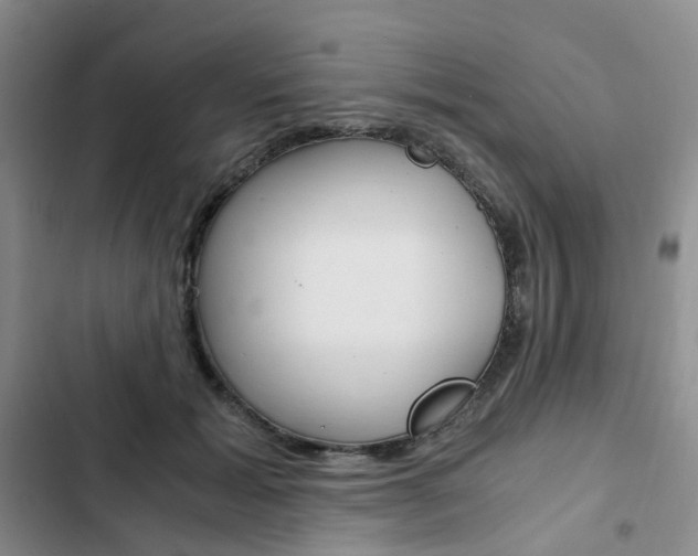 X0000103160605200808221154