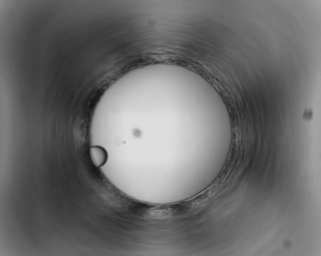 X0000103160606200808221154