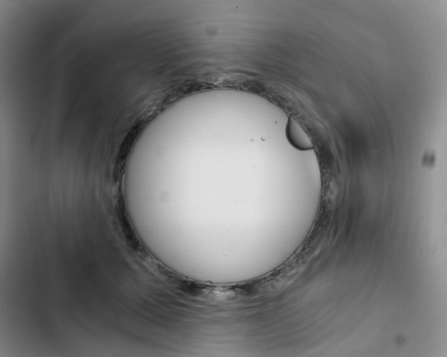 X0000103160607200808221154