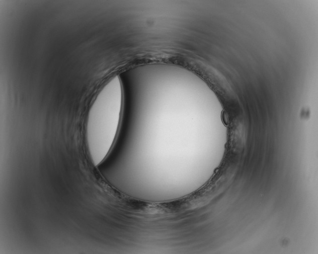 X0000103160608200808221154