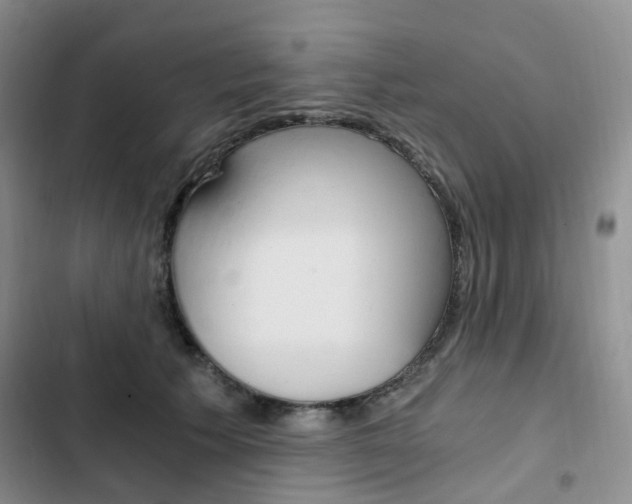 X0000103160609200808221154