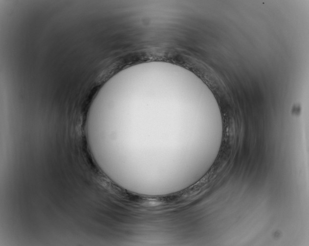 X0000103160610200808221154