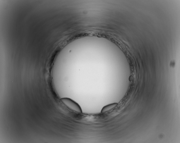 X0000103160611200808221154