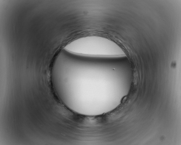 X0000103160613200808221154