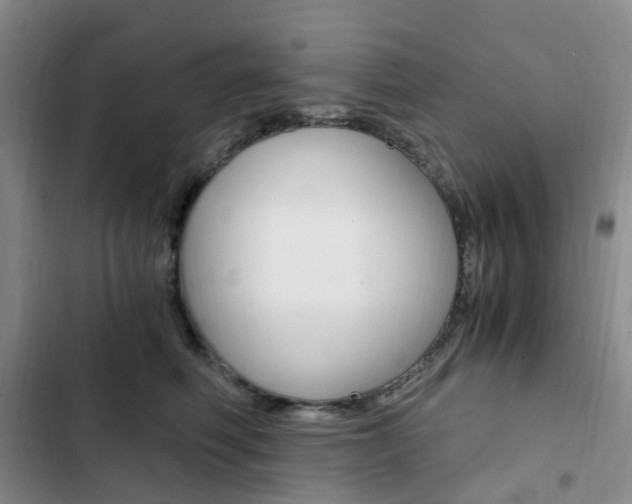 X0000103160614200808221154