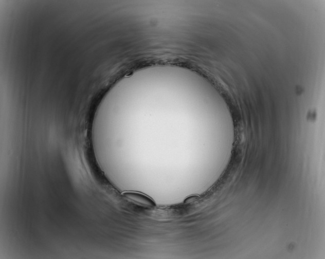 X0000103160615200808221154