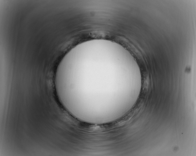 X0000103160616200808221154
