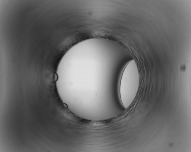 X0000103160619200808221154
