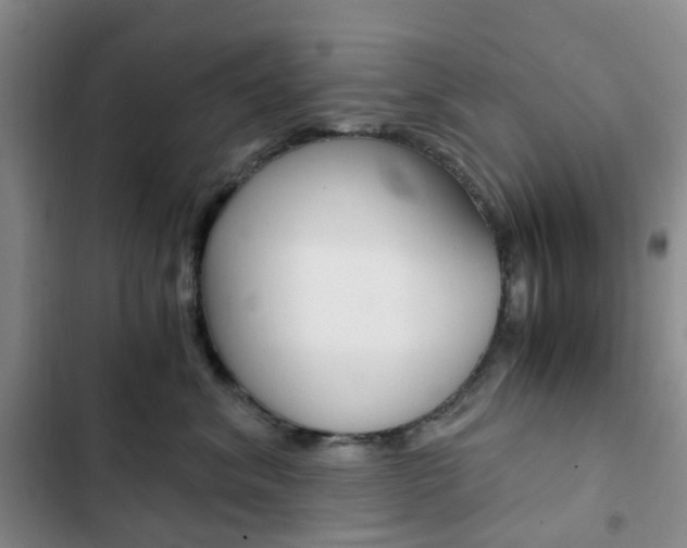 X0000103160620200808221154
