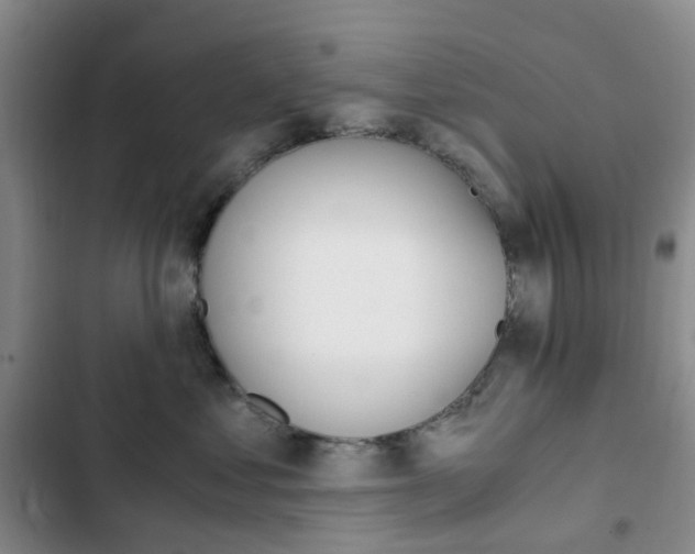 X0000103160621200808221154