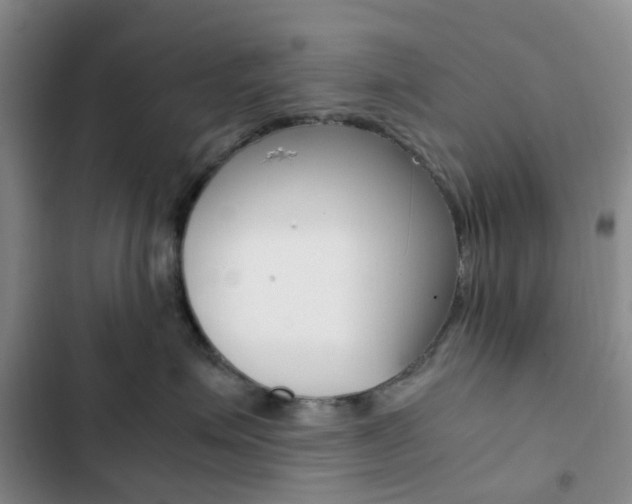 X0000103160623200808221154