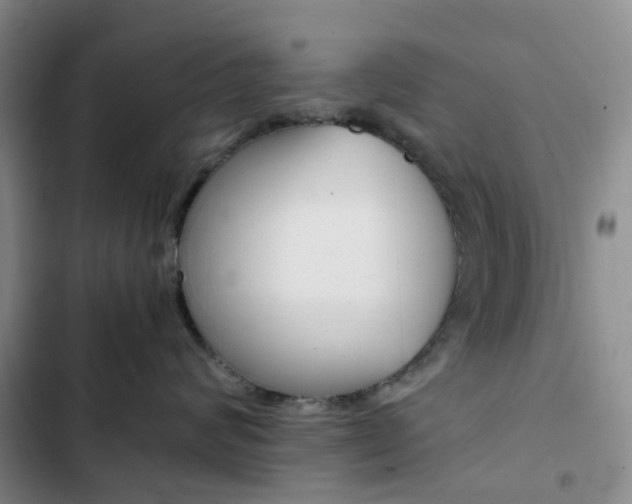 X0000103160624200808221154