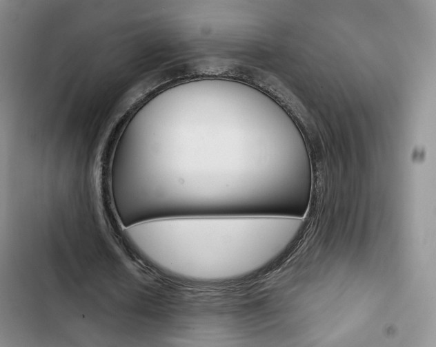 X0000103160626200808221152