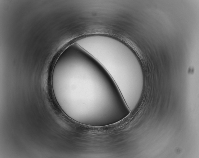 X0000103160627200808221152