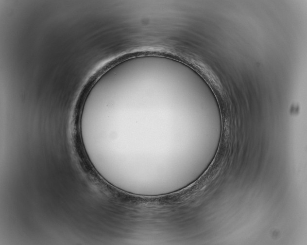 X0000103160628200808221153