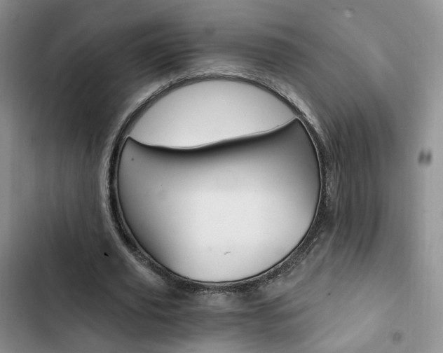 X0000103160629200808221153