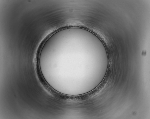 X0000103160630200808221153