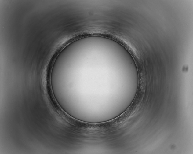 X0000103160631200808221153