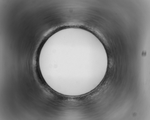 X0000103160632200808221153