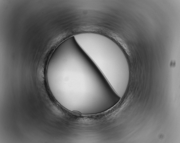 X0000103160633200808221153
