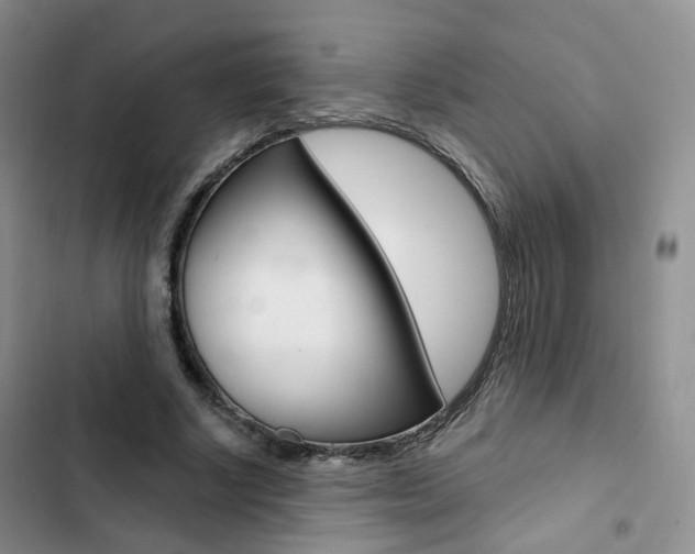 X0000103160634200808221153