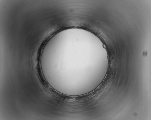 X0000103160635200808221153