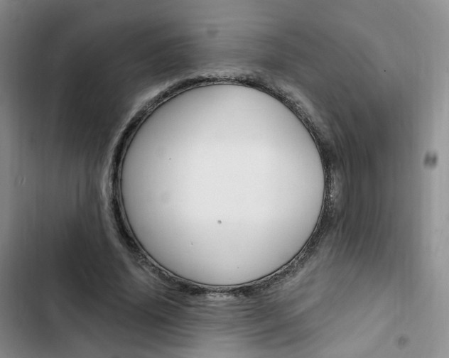 X0000103160636200808221153