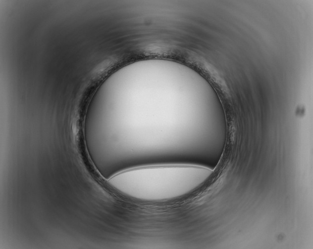 X0000103160637200808221153