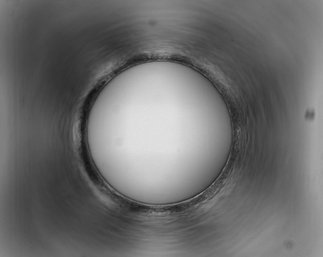 X0000103160638200808221153