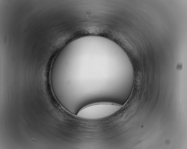 X0000103160639200808221153