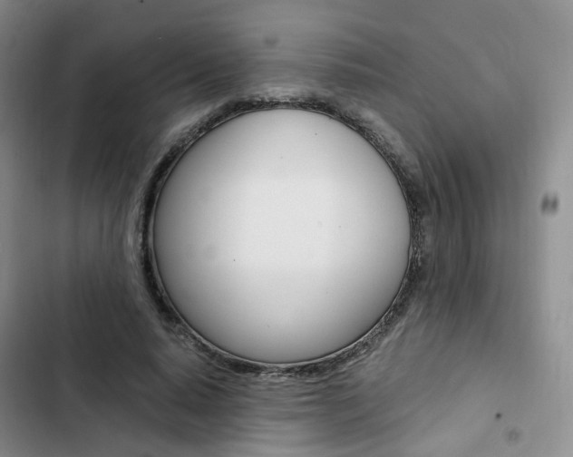 X0000103160640200808221153
