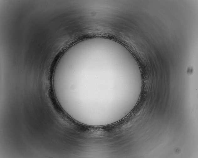 X0000103160642200808221153