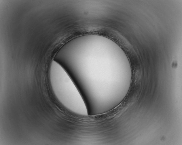X0000103160644200808221153