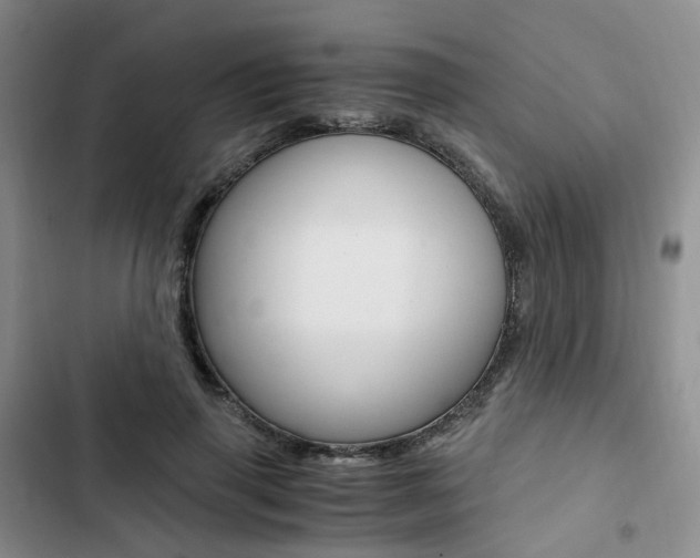 X0000103160645200808221153
