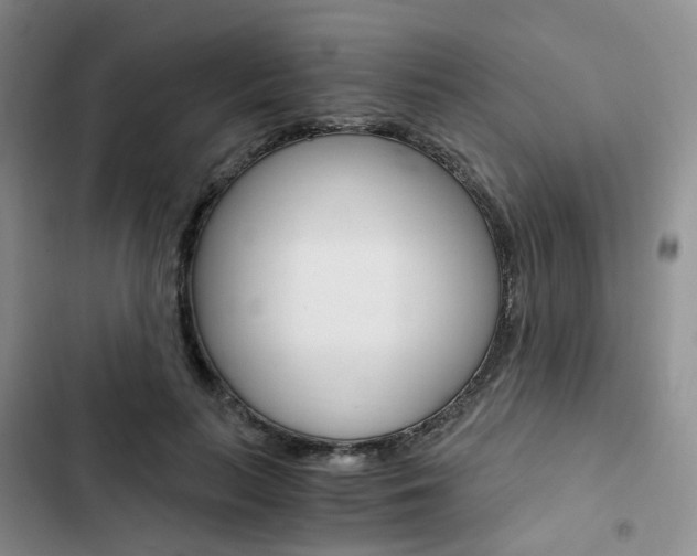 X0000103160647200808221153