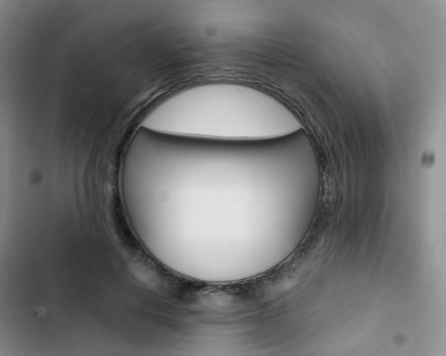 X0000103160648200808221153