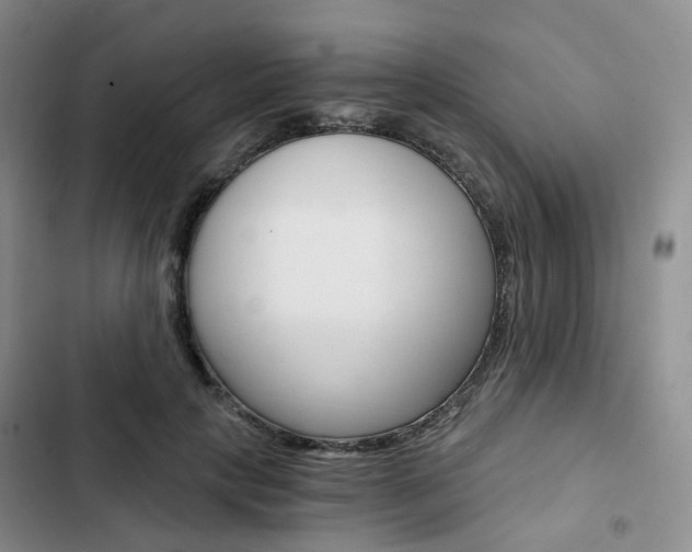X0000103160649200808221153