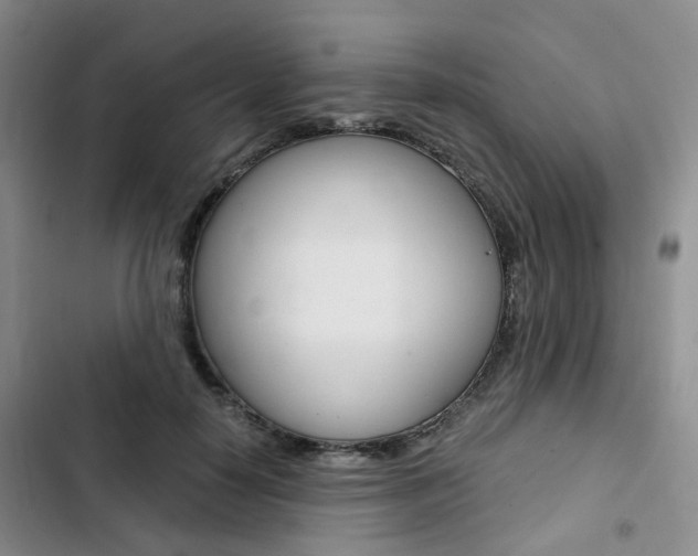 X0000103160650200808221153