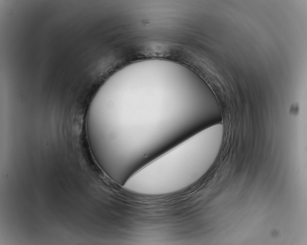 X0000103160652200808221153