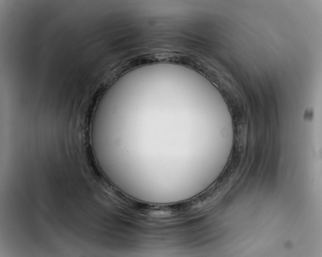 X0000103160653200808221153