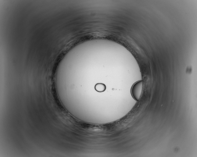 X0000103160655200808221153
