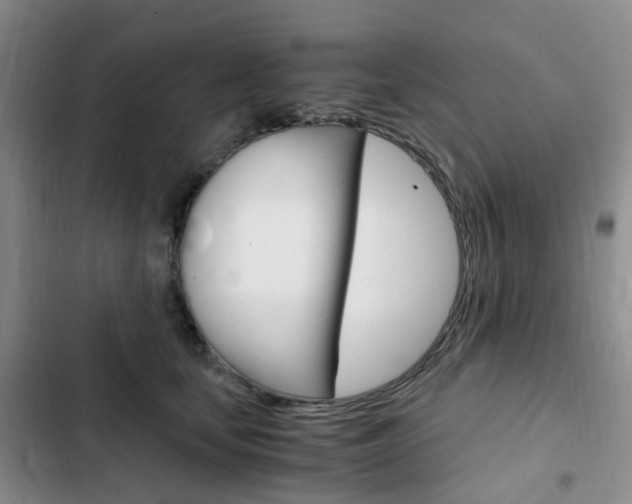 X0000103160659200808221153