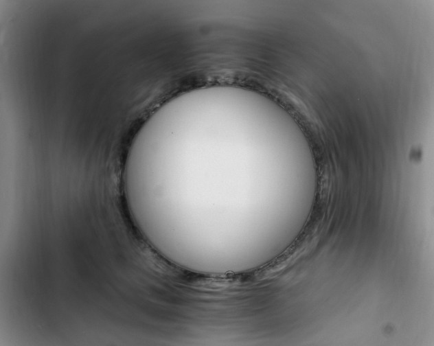 X0000103160661200808221153