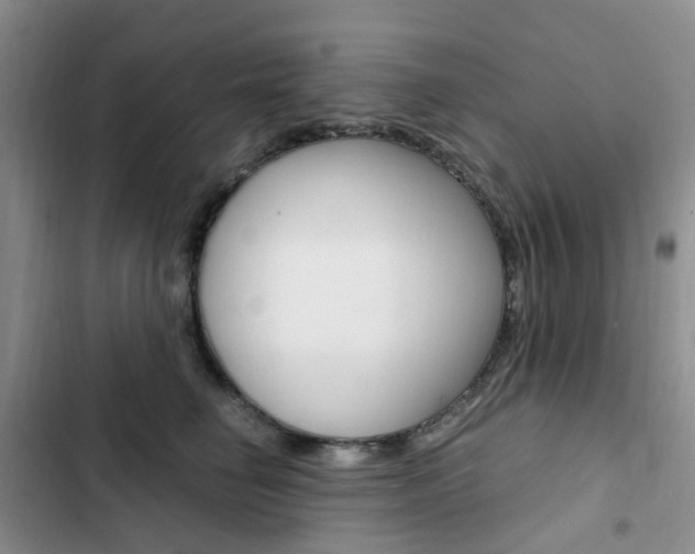 X0000103160662200808221153