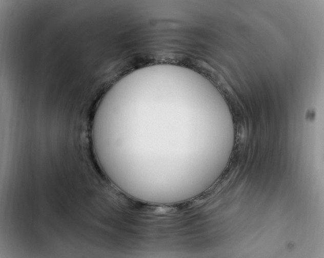 X0000103160663200808221153