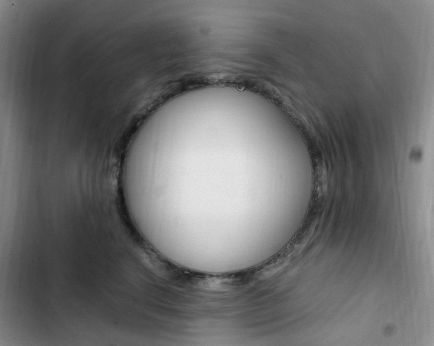 X0000103160664200808221153
