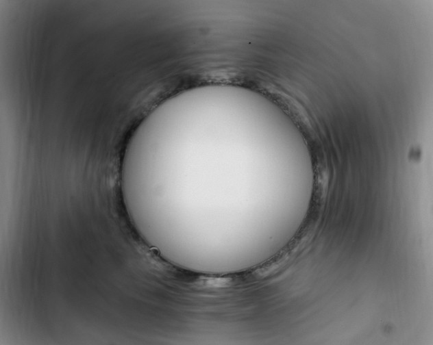 X0000103160665200808221153