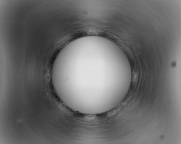 X0000103160666200808221153