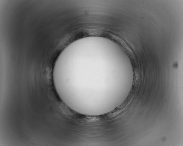 X0000103160667200808221153
